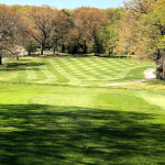 green grass with the flag in the hole.
