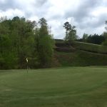 green grass with the flag in the hole.