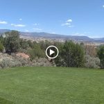 green grass with the flag in the hole.