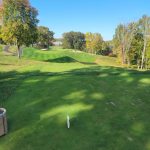 green grass with the flag in the hole.
