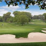 green grass with the flag in the hole.