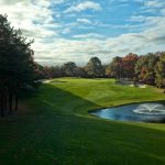 green grass with the flag in the hole.