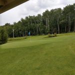 green grass with the flag in the hole.