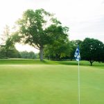 green grass with the flag in the hole.