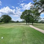 green grass with the flag in the hole.