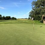 green grass with the flag in the hole.