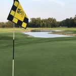 green grass with the flag in the hole.