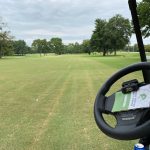 green grass with the flag in the hole.