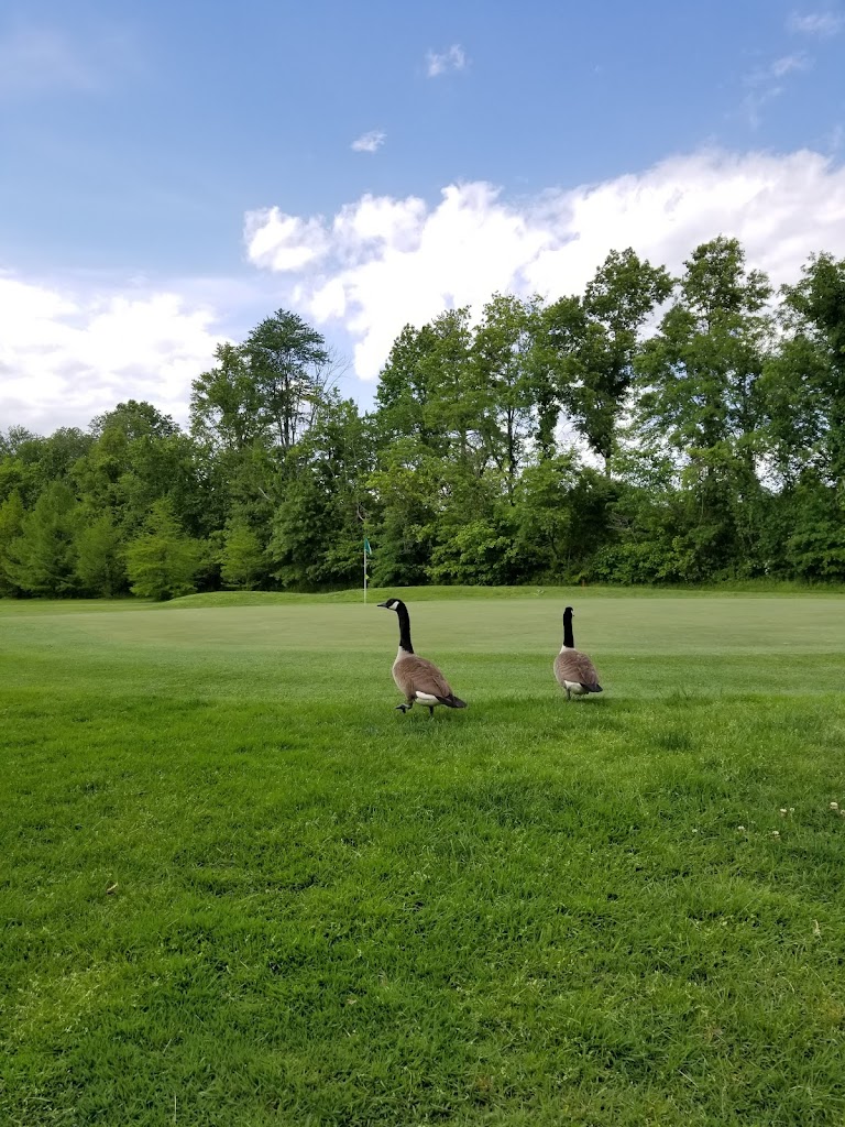 Panoramic view of a lush green golf course at Henson Creek Golf Course. Smooth