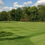 green grass with the flag in the hole.