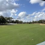 green grass with the flag in the hole.