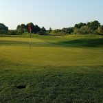 green grass with the flag in the hole.