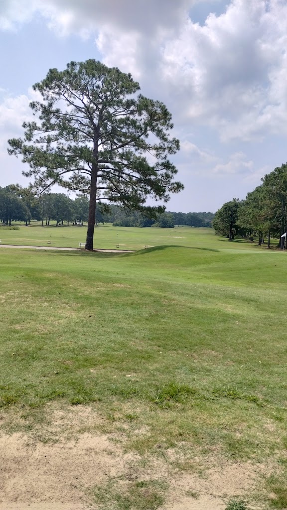 Panoramic view of a lush green golf course at Heron Lakes Country Club. Smooth