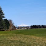 Panoramic view of a lush green golf course at Heron Lakes Golf Club. Smooth