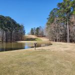 green grass with the flag in the hole.