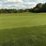 green grass with the flag in the hole.