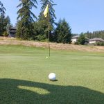 green grass with the flag in the hole.