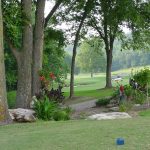 green grass with the flag in the hole.