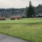 green grass with the flag in the hole.