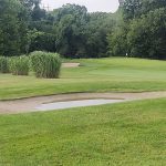 green grass with the flag in the hole.