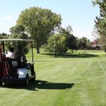 green grass with the flag in the hole.