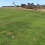 Panoramic view of a lush green golf course at Highland Links. Smooth