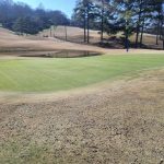 green grass with the flag in the hole.