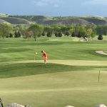 green grass with the flag in the hole.