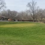green grass with the flag in the hole.