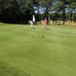 green grass with the flag in the hole.