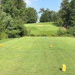 green grass with the flag in the hole.