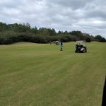 green grass with the flag in the hole.