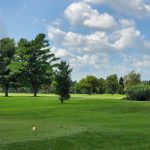 green grass with the flag in the hole.