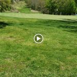 green grass with the flag in the hole.