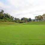 green grass with the flag in the hole.
