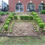 green grass with the flag in the hole.