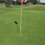 green grass with the flag in the hole.