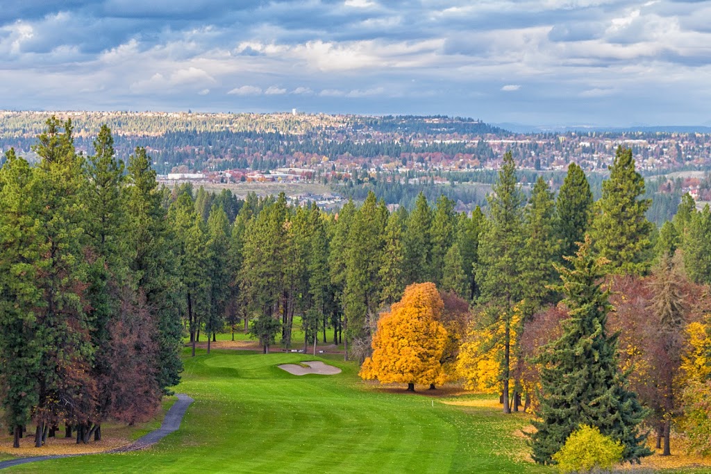 Panoramic view of a lush green golf course at Indian Canyon Golf Course. Smooth