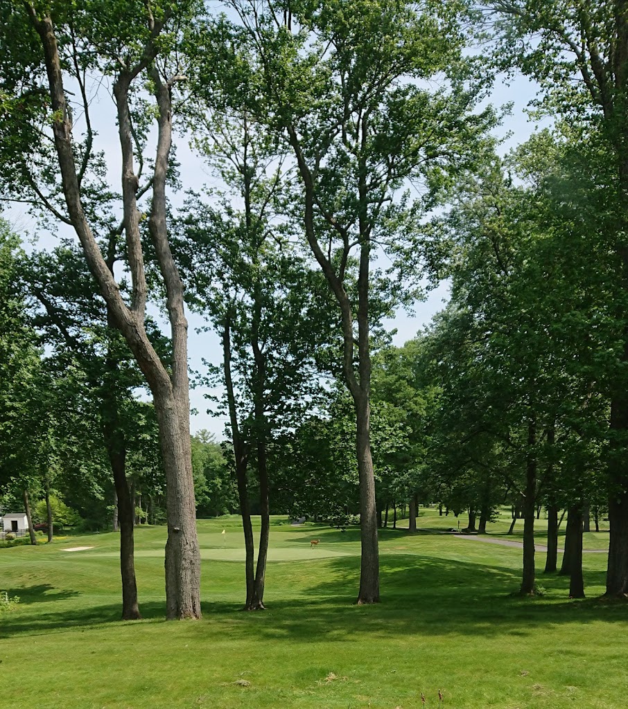 Panoramic view of a lush green golf course at Indian Ridge Country Club. Smooth
