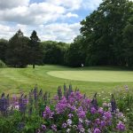 Panoramic view of a lush green golf course at Indian Springs Golf Club. Smooth