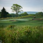 green grass with the flag in the hole.