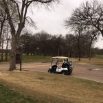 green grass with the flag in the hole.