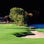 green grass with the flag in the hole.