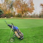 green grass with the flag in the hole.