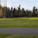 green grass with the flag in the hole.