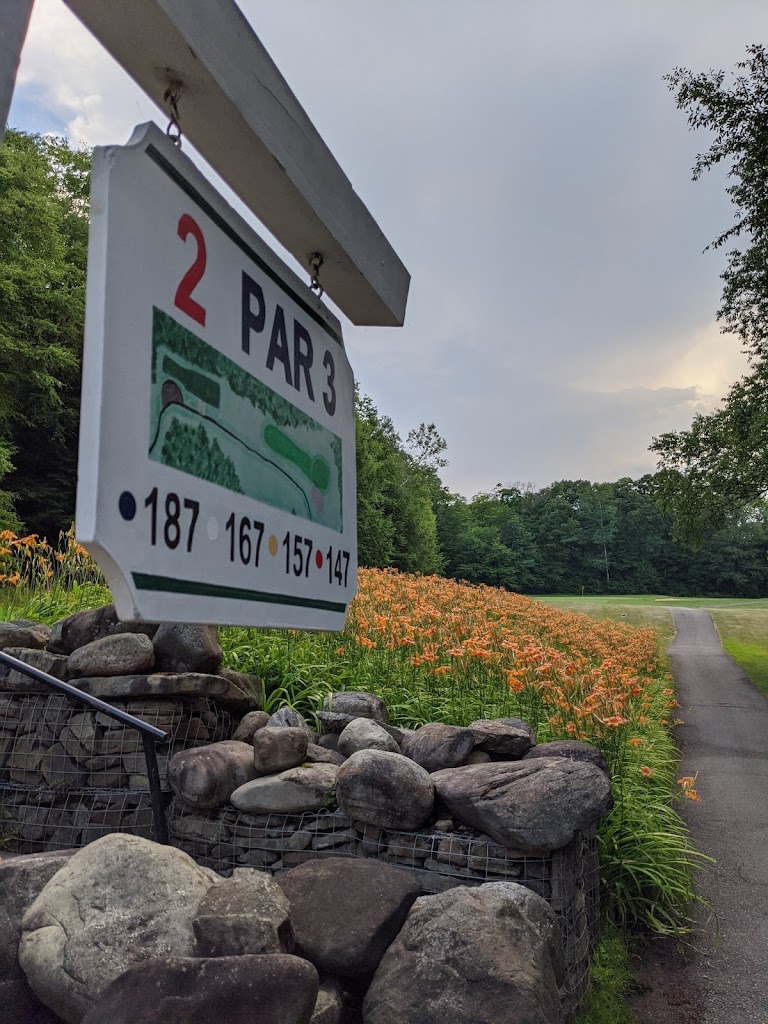 Panoramic view of a lush green golf course at Jackson Valley Golf Course. Smooth