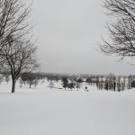 green grass with the flag in the hole.
