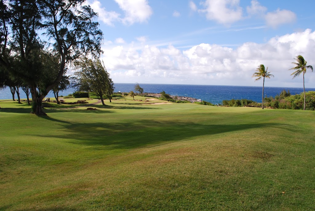 Panoramic view of a lush green golf course at Kapalua Golf - The Bay Course. Smooth