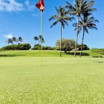 Panoramic view of a lush green golf course at Kauai Golf Club Rentals Powered By Roger Dunn Golf Hawaii Lihue. Smooth