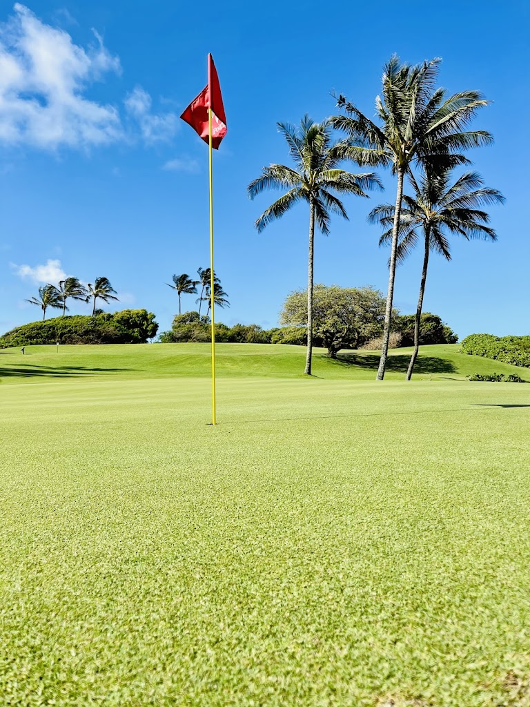 Panoramic view of a lush green golf course at Kauai Golf Club Rentals Powered By Roger Dunn Golf Hawaii Lihue. Smooth